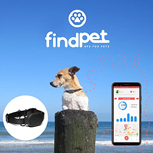 ? findPet Localizador GPS para Gatos y Perros [Mini]. Muy Ligero sólo 20gr. Collar GPS para Perros y Gatos con Ubicación en Tiempo Real y Seguimiento de Actividad 24h