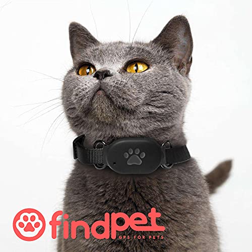 ? findPet Localizador GPS para Gatos y Perros [Mini]. Muy Ligero sólo 20gr. Collar GPS para Perros y Gatos con Ubicación en Tiempo Real y Seguimiento de Actividad 24h