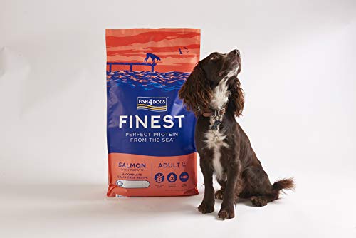 Fish4Dogs Canine Adult Regular Salmon 12KG