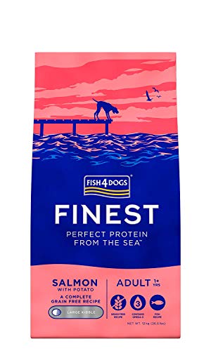 Fish4Dogs Canine Adult Regular Salmon 12KG