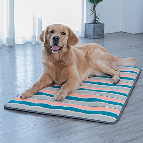 Flashing Colchoneta para Dormir para Perros, colchón de Suelo para Cama de Verano para Gatos, Cama Impermeable para Perros, para Mascotas pequeñas y Grandes, Peluche Golden Retriever