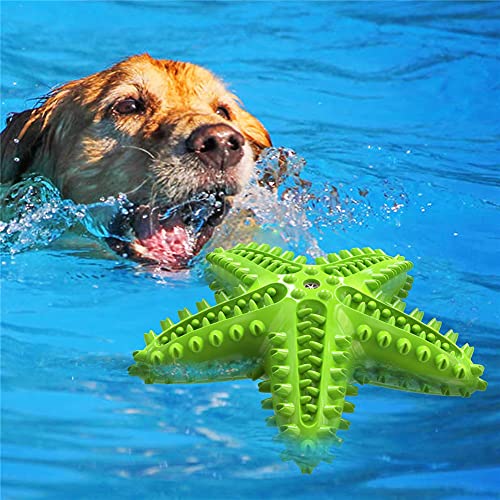 Flashing Forma de Estrella de mar Perro Squeaky Toy Dog Mordedor Perro Cepillo de Dientes Juguetes flotantes de Agua para Perro Molar Proveedor de Perros (Color : C)