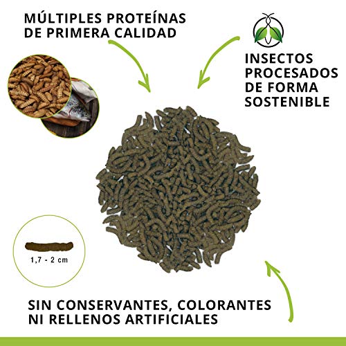 Fluval Comida Peces Comida para Peces Bug Bites Formula PLECOS Comida DE Peces