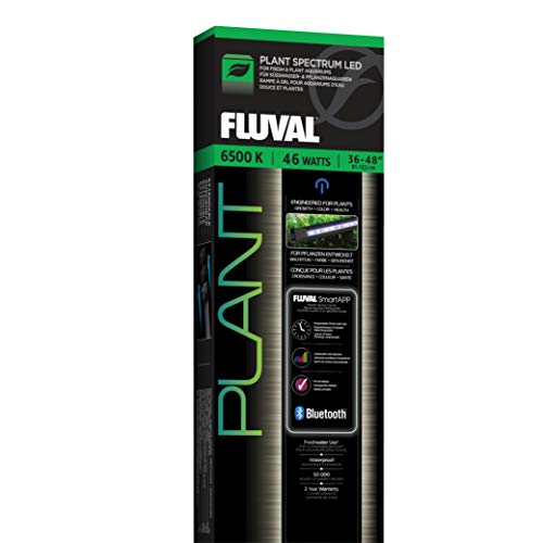 Fluval Iluminación 1 Unidad 250 g