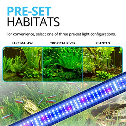 Fluval Iluminación 1 Unidad 250 g