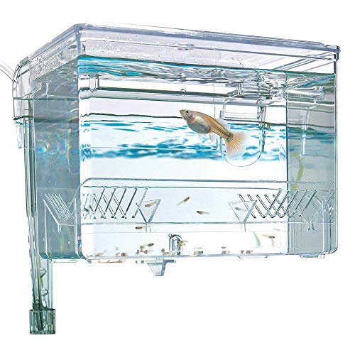 Fluval Marina Caja de Cría, 1.2 L