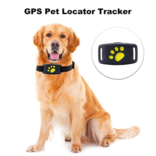 Foecy Localizador GPS para Mascotas, Dispositivo Anti-perdida para Mascotas, Collar rastreador Impermeable para Perros con GPS, Dispositivo Sensor inalámbrico Anti-perdida Posicionamiento GPS + LBS