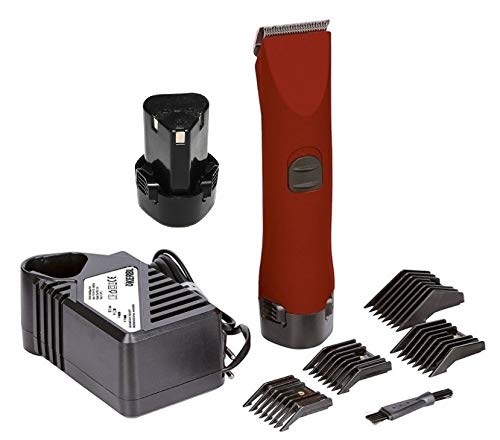 Folk ESQUILADORA Profesional 30W BATERIA mas Accesorios Perros, Caballos 35998, kerbl 18267 (B - Mas Batería Extra 2000 mAh)