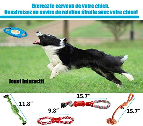 FONPOO Grupo de Juguetes para Perros Durable Masticable Cuerda Soledad Grupo de Juguete para Perrito Pequeño Medio Solitario para Mantener a su Perro Sano 10 Piezas