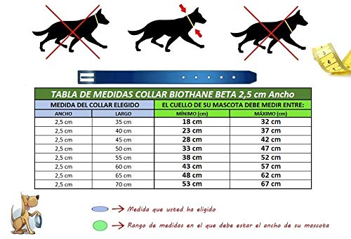 Francisco Romero 8436586340520 - Collar Biothane Beta, Amarillo (Amarillo Flúor), 2,5cmx45cm, 1 unidad