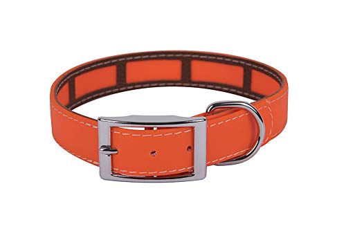 Francisco Romero 8436586341077 - Collar con Funda Antiparasitaria, Naranja (Naranja Flúor), 2,5cmx40cm, 1 unidad