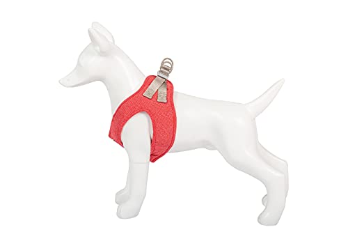 Freedog Arnes Shiva (M 40-45cm, Rojo)