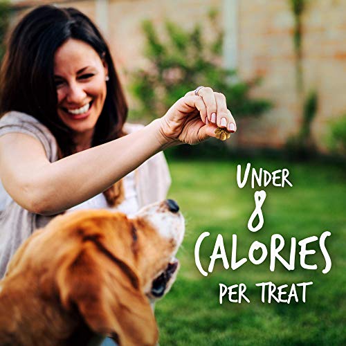 Fruitables Baked Golosinas para Perros | Golosinas de Calabaza para Perros | Golosinas saludables Bajas en calorías | Libre de Trigo, maíz y Soja | Calabaza y Manzana 340 g