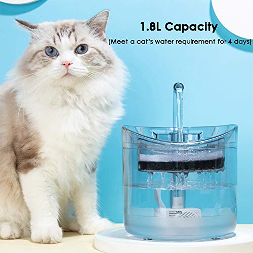 Fuente Automática para Gatos,1.8L Fuente para Gatos y Perros, Bebedero Transparente para Mascotas con Bomba Ultra Silenciosa, con Dos Filtros de Repuesto y Dos Cepillos de Limpieza (Transparente)