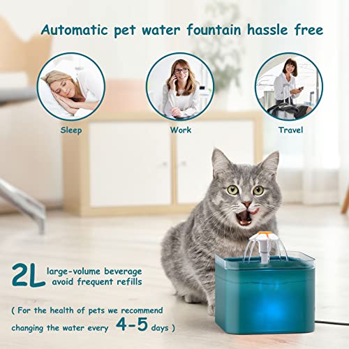 Fuente para Gatos AONBOY, Bebedero Gatos Ultra Silenciosa, Fuente Gatos 2 litros, con Luz LED Fuente Agua Gatos, con Filtro De Carbón Activado Y Bomba De Agua