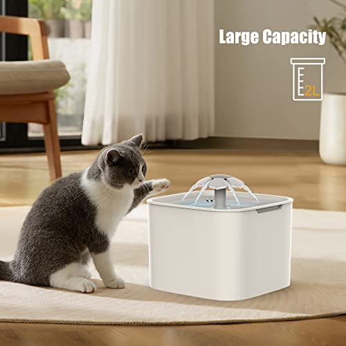 Fuente para Gatos, Bebedero Gatos, Fuente Agua Gatos, Silencioso con Luces LED, Fuente para Perros con Filtro de Carbón Activado y Bomba de Agua, 2 L, 3 Modos de Flujo Ajustables