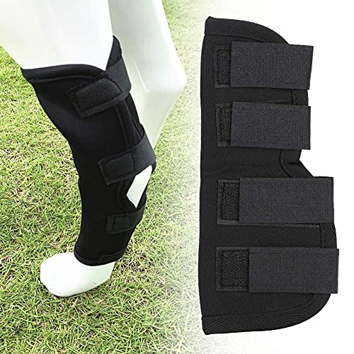 Funda Protectora para la Pierna del Perro, Funda Protectora para la Rodilla del Animal doméstico Funda Protectora para la recuperación de la Almohadilla para la Pierna del Perro(L-Negro)