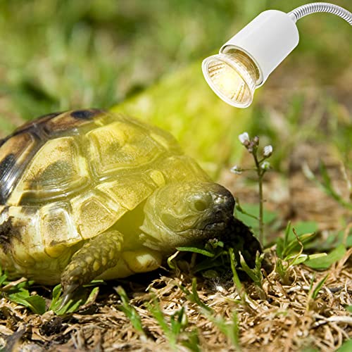 Furado Lámpara para Tortuga, Lámpara de Calor Para Reptiles y Terrarios, Portalámparas de Calefacción, 3 Bombillas de Diferente Potencia y 1 Termómetro