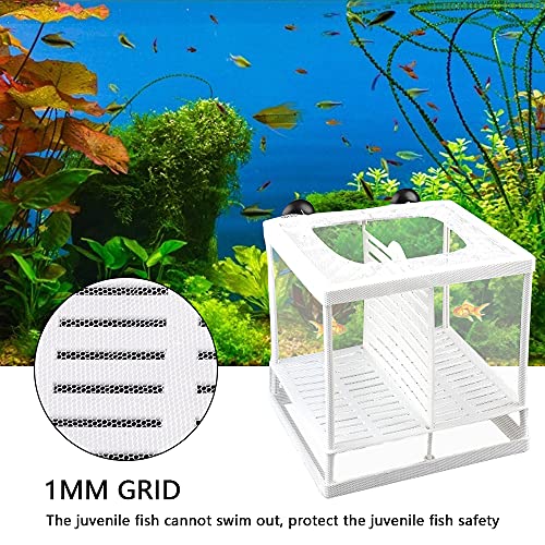 Fyfjur Caja de Cría de Peces, Paridera Acuario, Criadero Peces Acuario, Red de Aislamiento para Guardería con Ventosas para Peces de Acuario, Guppy, Peces Tropicales, Peces Flotantes, Camarones