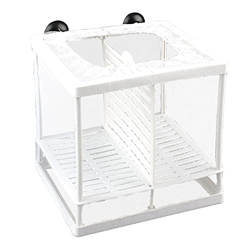 Fyfjur Caja de Cría de Peces, Paridera Acuario, Criadero Peces Acuario, Red de Aislamiento para Guardería con Ventosas para Peces de Acuario, Guppy, Peces Tropicales, Peces Flotantes, Camarones