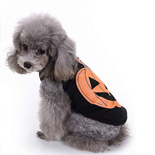 FZ FUTURE Gato Perro Chaleco de Calabaza, Disfraz de Mascota de Halloween, Divertido Disfraz de Perrito, Perros Calabaza Halloween Traje Ropa, para Fiesta Halloween Cosplay Navidad Fiesta,M