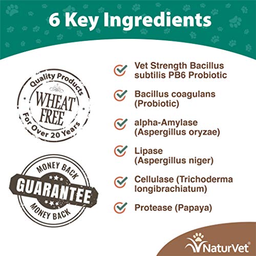 GARMON CORP naturvet Probiotics Avanzada y enzimas Plus Vet Fuerza PB6 Probiotic para Dental para Perros, Suave, Fabricado en Estados Unidos