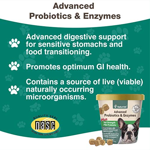 GARMON CORP naturvet Probiotics Avanzada y enzimas Plus Vet Fuerza PB6 Probiotic para Dental para Perros, Suave, Fabricado en Estados Unidos