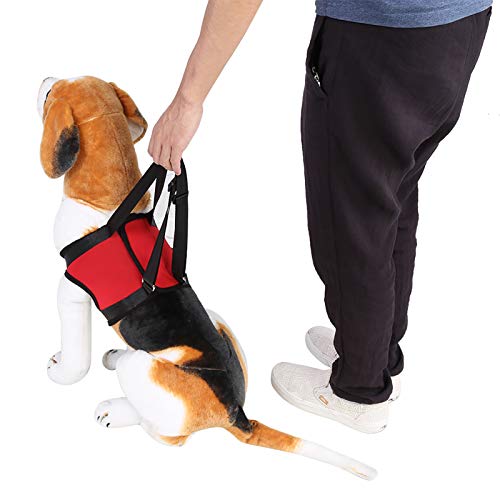 Garosa Arnés de Soporte para Perros, arnés de Soporte para piernas de Perro Delantero y Trasero, Ayuda para Caminar, Chaleco para Levantar y Tirar para Perros Viejos o lesionados(L-Pata Trasera)