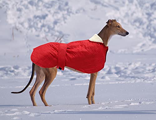 Geyecete - Abrigo cálido térmico Acolchado para Perro Galgo, con Bandas Ajustables, para Invierno Clima frío,Ropa con Agujero del arnés, para medianos y Grandes Perros-Rojo-S