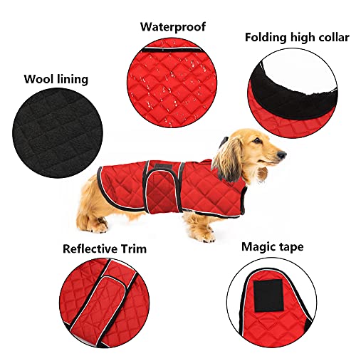 Geyecete Abrigo térmico de Invierno para Perro Salchicha,con Forro Polar cálido,Impermeable Ropa al Aire Libre con Bandas Ajustables e Agujero del arnés,para medianos/pequeña Perros - Rojo-XL