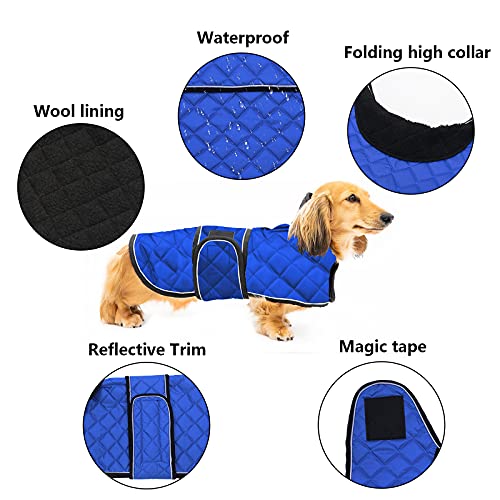 Geyecete Abrigo térmico de Invierno para Perro Salchicha,con Forro Polar cálido,Impermeable Ropa al Aire Libre con Bandas Ajustables e Agujero del arnés,para medianos/pequeña Perros - Azul-M