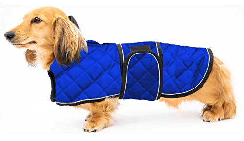 Geyecete Abrigo térmico de Invierno para Perro Salchicha,con Forro Polar cálido,Impermeable Ropa al Aire Libre con Bandas Ajustables e Agujero del arnés,para medianos/pequeña Perros - Azul-M