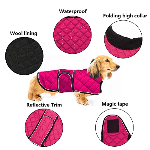 Geyecete Abrigo térmico de Invierno para Perro Salchicha,con Forro Polar cálido,Impermeable Ropa al Aire Libre con Bandas Ajustables e Agujero del arnés,para medianos/pequeña Perros - Rosa-S