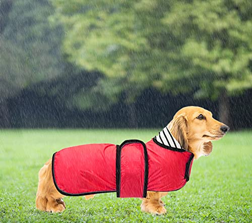 Geyecete-Chubasquero Ajustable Ligera para Perro Salchicha ，Impermeable Chaqueta con Correas Reflectantes y Agujero para arnés, Dachshund-Rojo-L