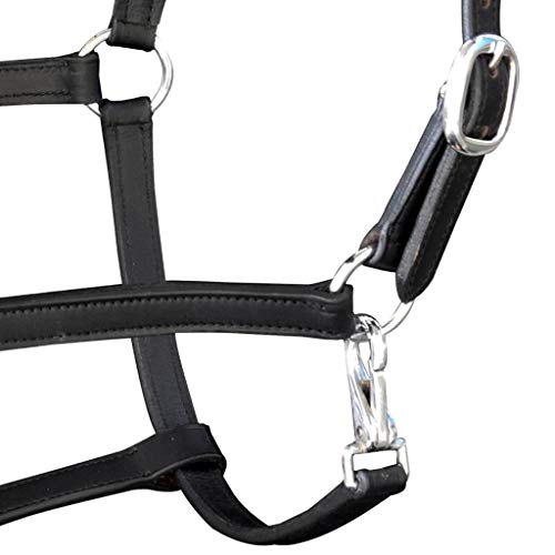 ghuanton Ronzal/Cabestro de Cuero Negro Ajustable para Caballo PercherónDeportes Actividades al Aire Libre Equitación Arreos para Caballos Cabestros para Caballos