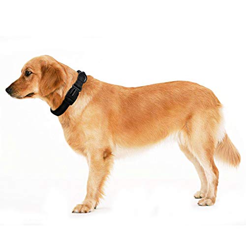 GIEADUN Collar Perro, Collar para Perros Pequeños Grandes Medianos Reflectante Suave Acolchado Ajustable Transpirable con Etiqueta de Nombre para Caminar Correr Trekking Entrenamiento (S, Negro)