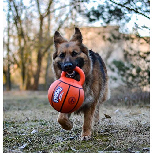 GiGwi Jumball - Pelota para perros de talla mediana y grande con asa extra dura de goma (baloncesto Ball)