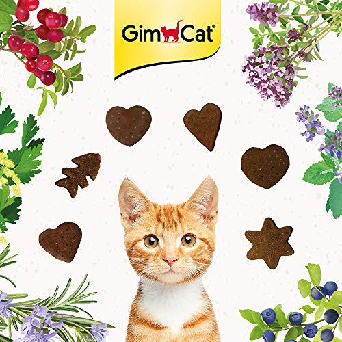 GimCat Crunchy Snacks Pavo con arándanos Rojos - Crujiente golosina para Gatos Rica en proteínas y sin azúcar añadido - 1 Bolsa (1 x 50 g)