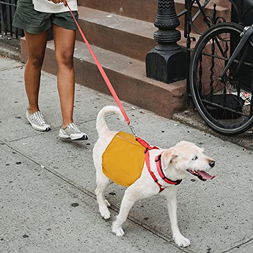 GLAITC 3 Paquetes Pañales para Perros Machos, Pañales Reutilizables para Perros Lavable Pañales para Perros Pañales para Perro Cubre Panza Lavables para Varios Tipos de Perros Domésticos S