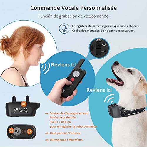 GLEADING Collar Adiestramiento para Perros Recargable con Rango Remoto de 600 Metros con Función de Grabación de Voz/Comando, 9 Niveles de Sonido, Modo de Eficiente y Vibración