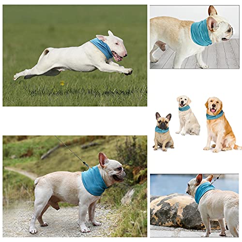 Gloryit Bandana para Perro Pañuelo Perro Refrescante Collar Refrigerante Perro Enfriar al Perro para Refrescar al Perro en Verano y Ayudarlo a Pasar el Verano,Transpirable,Refrescante(Azul L 55×16cm)