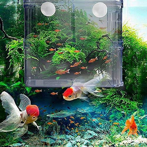 Goldmiky Caja de Cría de Peces,Caja de Cría de Acuario,Tanques de Cría,para Guppy,Peces Tropicales,Divisor de Tanque de Incubadora de Peces Flotante con Ventosas (Grande)