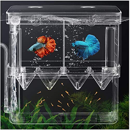 Goldmiky Caja de Cría de Peces,Caja de Cría de Acuario,Tanques de Cría,para Guppy,Peces Tropicales,Divisor de Tanque de Incubadora de Peces Flotante con Ventosas (Grande)