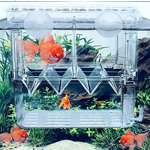 Goldmiky Caja de Cría de Peces,Caja de Cría de Acuario,Tanques de Cría,para Guppy,Peces Tropicales,Divisor de Tanque de Incubadora de Peces Flotante con Ventosas (Grande)