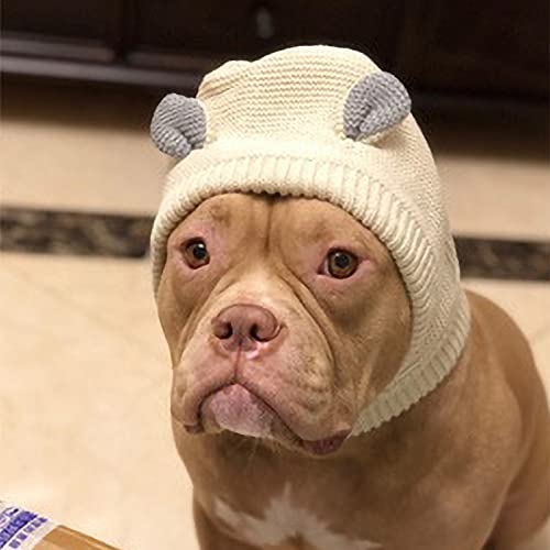 Gorro De Punto para Mascotas, Gorro De Invierno Cálido para Perros, Calentador De Cuello Y Orejas, Gorro De Perro, Disfraz De Conejo, Apto para Perros Grandes De 30-50 Kg