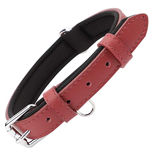 Grand Line Collar de Perro de Cuero Duradero Acolchado Suave con Perforador de Agujeros, Rojo(S)