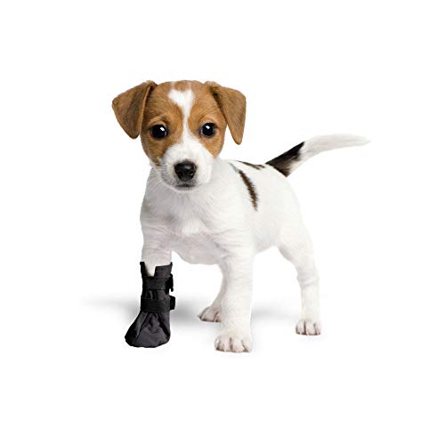 Grande Finale Calcetines de protección y recuperación, transpirables para perro, gato, 100% Softshell – Fundas de protección contra lesiones, Stop de dormir (3M - 6 cm (2,4") H - 12 cm, color negro