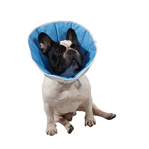 Grande Finale Collerette/Collar, Collar, Cone Postoperatorio, Post Cihirurgie para Perro, Gato o Conejo (1,5 (S/M) - Contorno de cuello: 22-28 cm, Altura: 14)