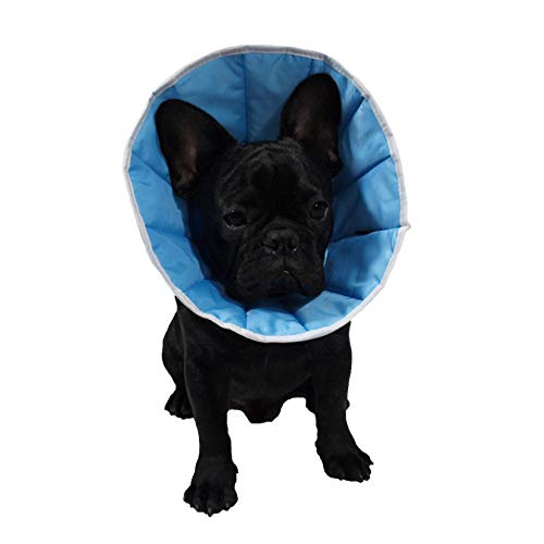 Grande Finale Collerette/Collar, Collar, Cone Postoperatorio, Post Cihirurgie para Perro, Gato o Conejo (1,5 (S/M) - Contorno de cuello: 22-28 cm, Altura: 14)