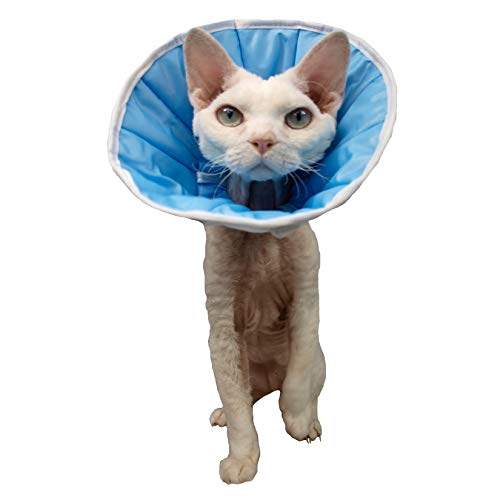 Grande Finale Collerette/Collar, Collar, Cone Postoperatorio, Post Cihirurgie para Perro, Gato o Conejo (1,5 (S/M) - Contorno de cuello: 22-28 cm, Altura: 14)